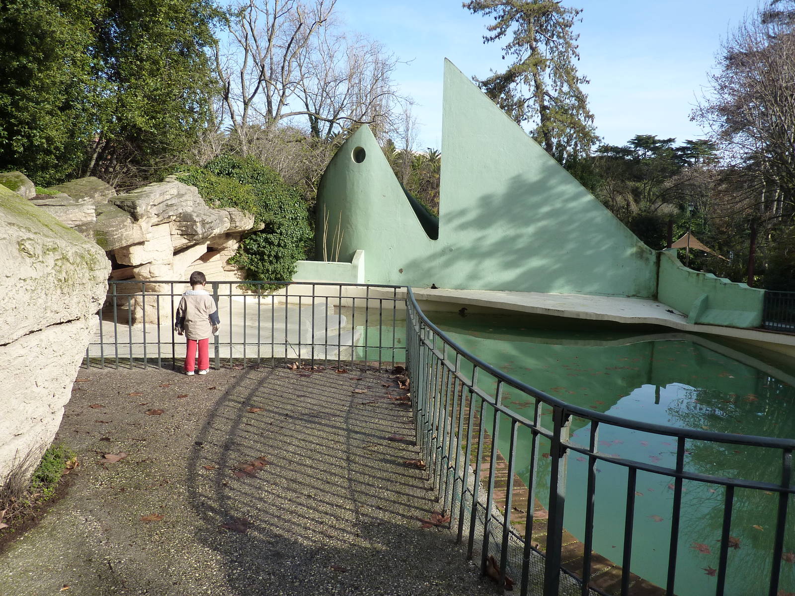 Bioparco Roma - Grey seal pool