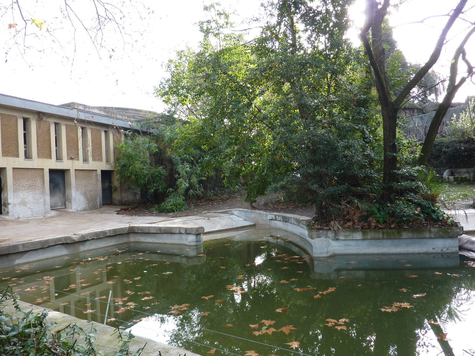 Bioparco Roma - Hippo enclosure