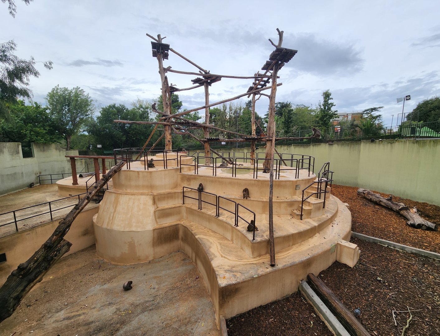 Bioparco Roma - Japanese Macaque exhibit