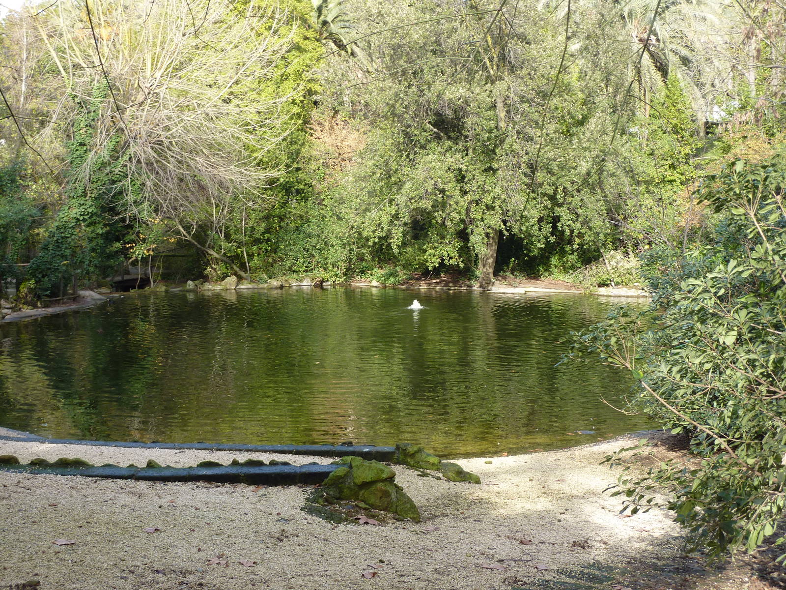 Bioparco Roma - Large ponds
