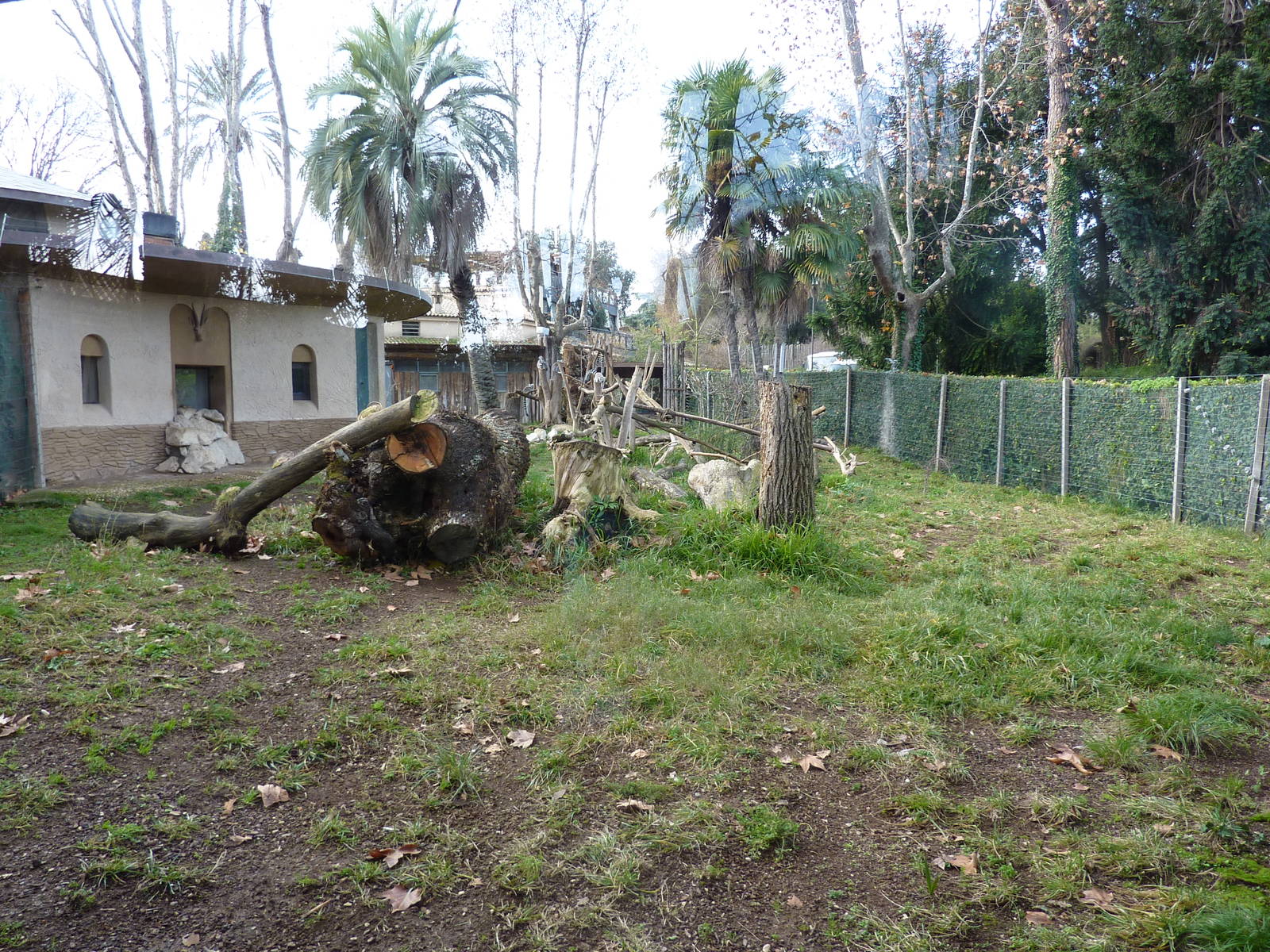 Bioparco Roma - Lemur enclosure