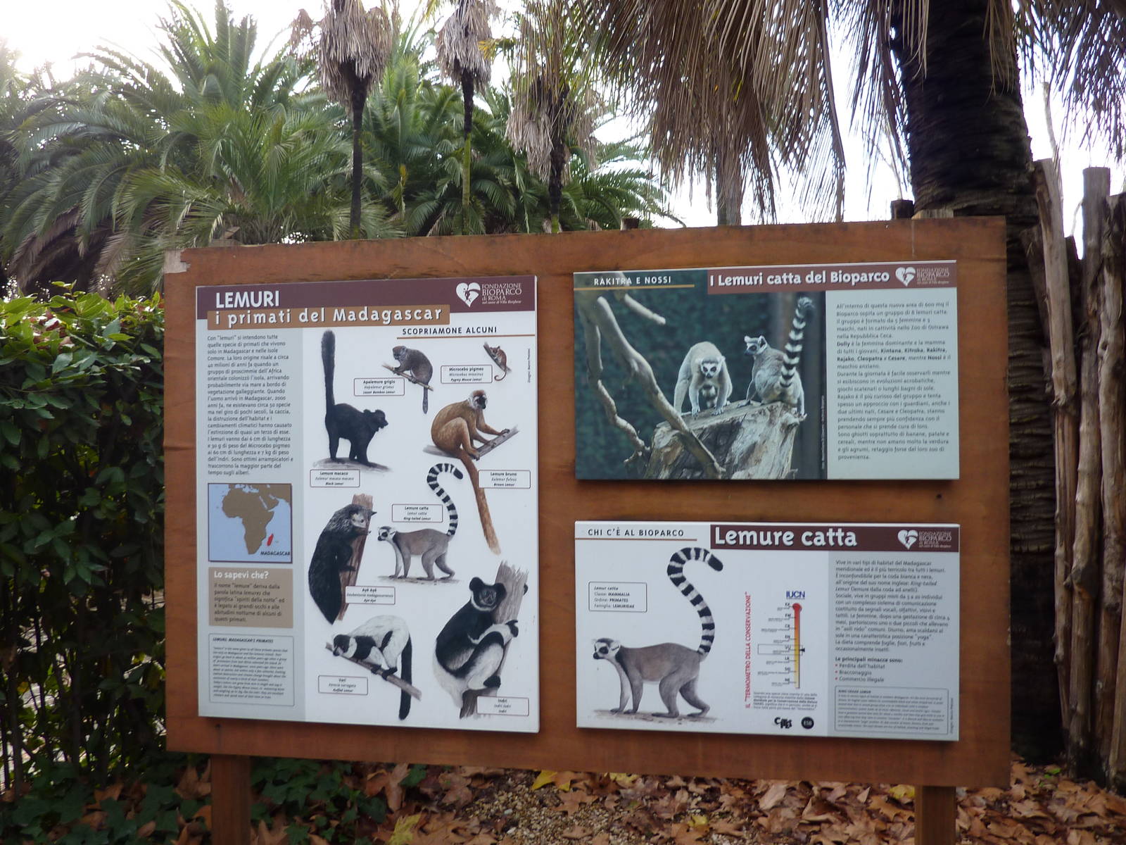 Bioparco Roma - Lemur signage