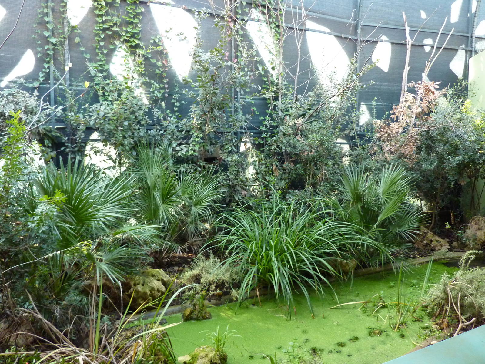 Bioparco Roma - Native wildlife area in Biodiversitalia