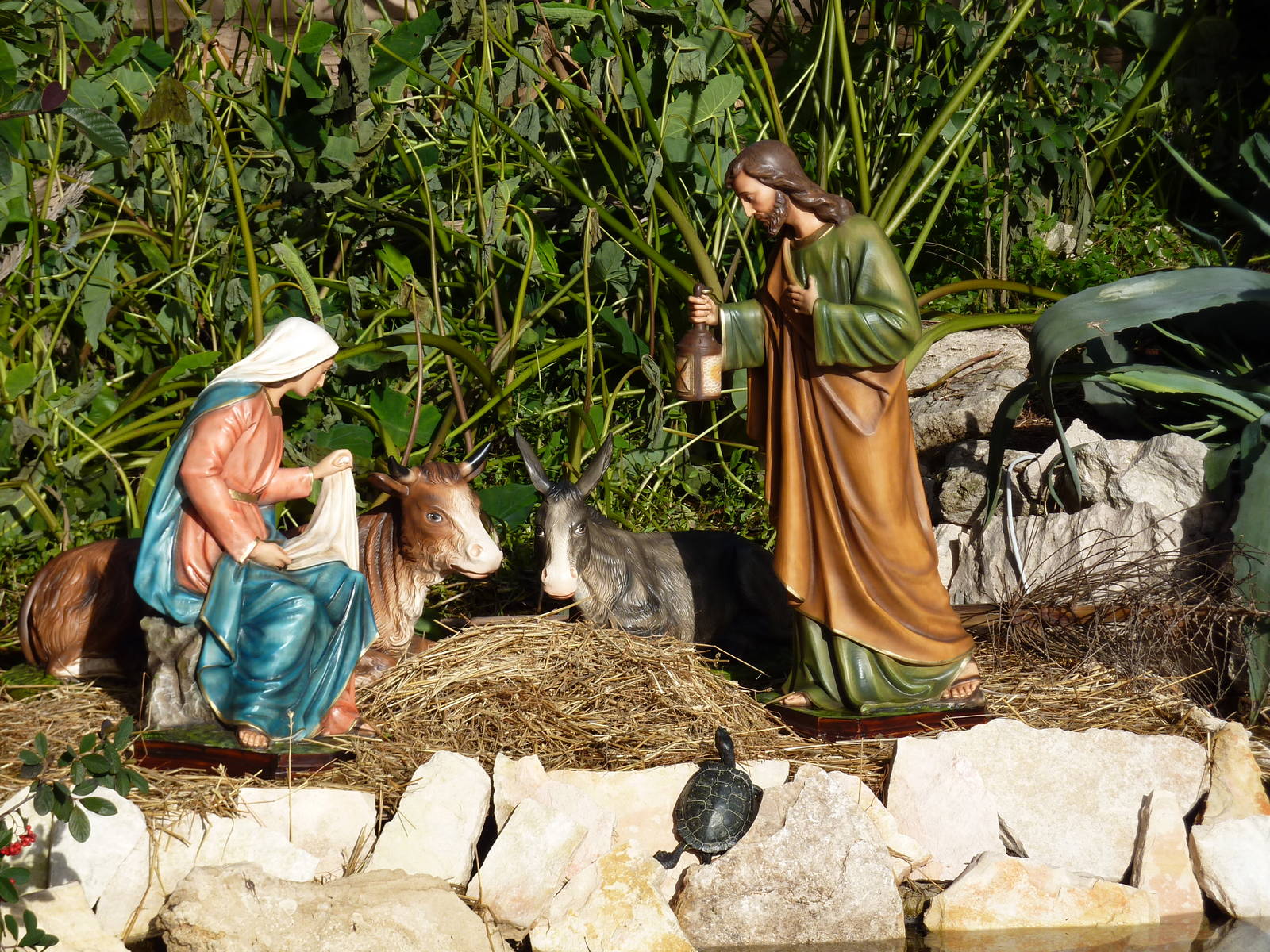 Bioparco Roma - Nativity scene
