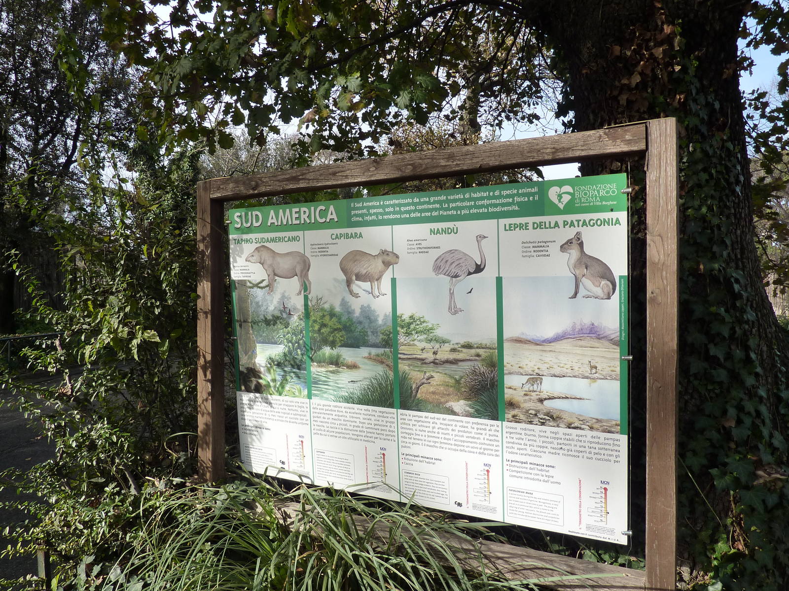 Bioparco Roma - South American paddock signage
