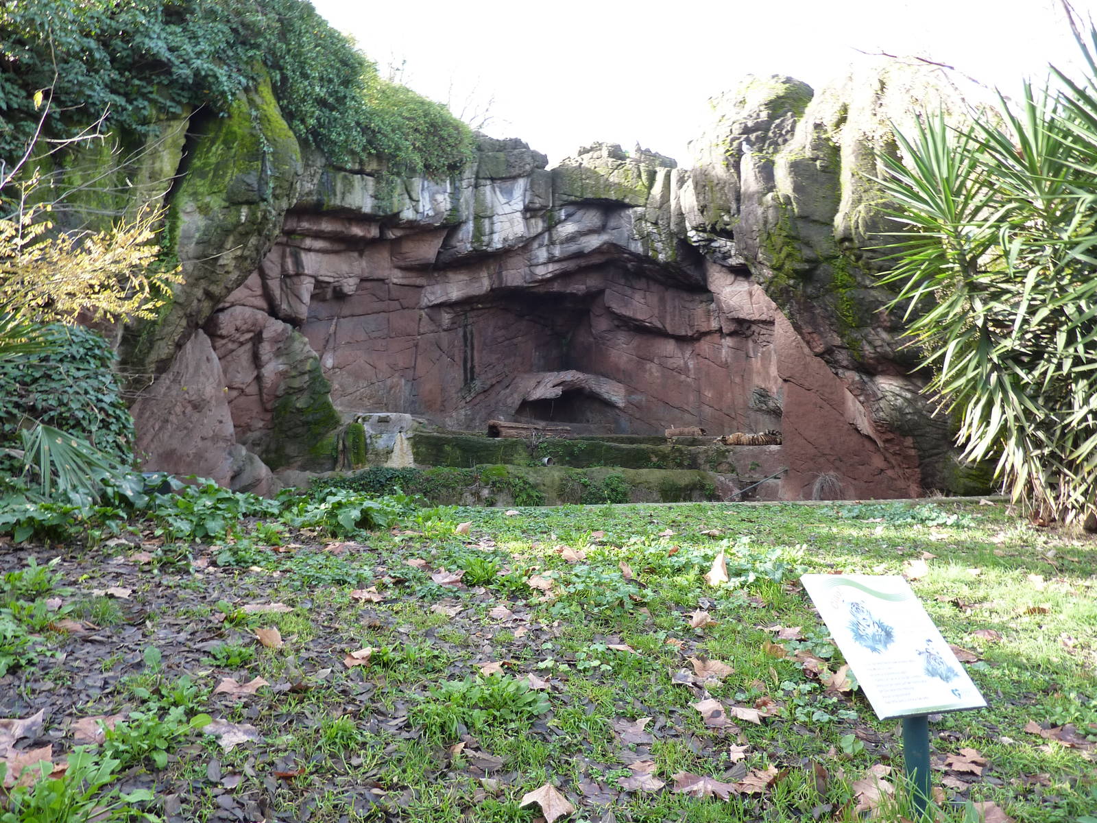 Bioparco Roma - Tiger enclosure