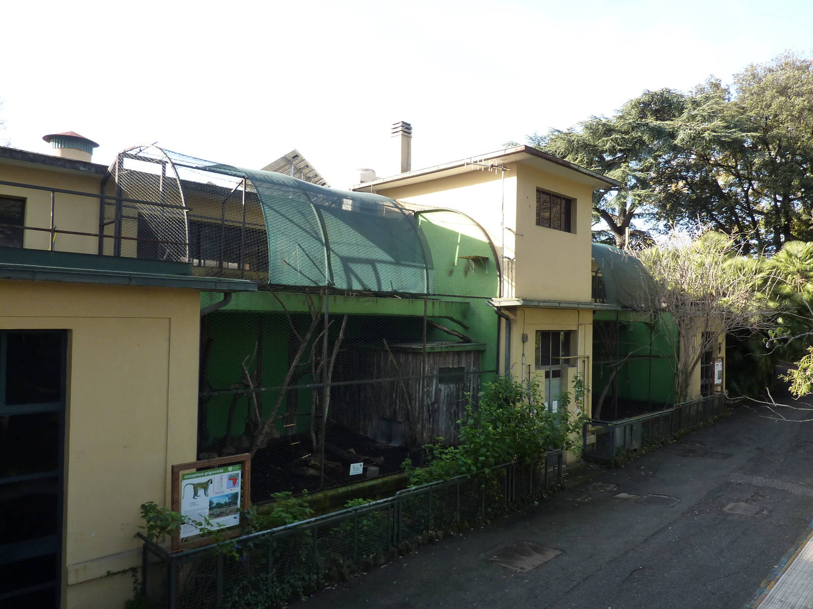 Bioparco Roma - Vervet monkey cages