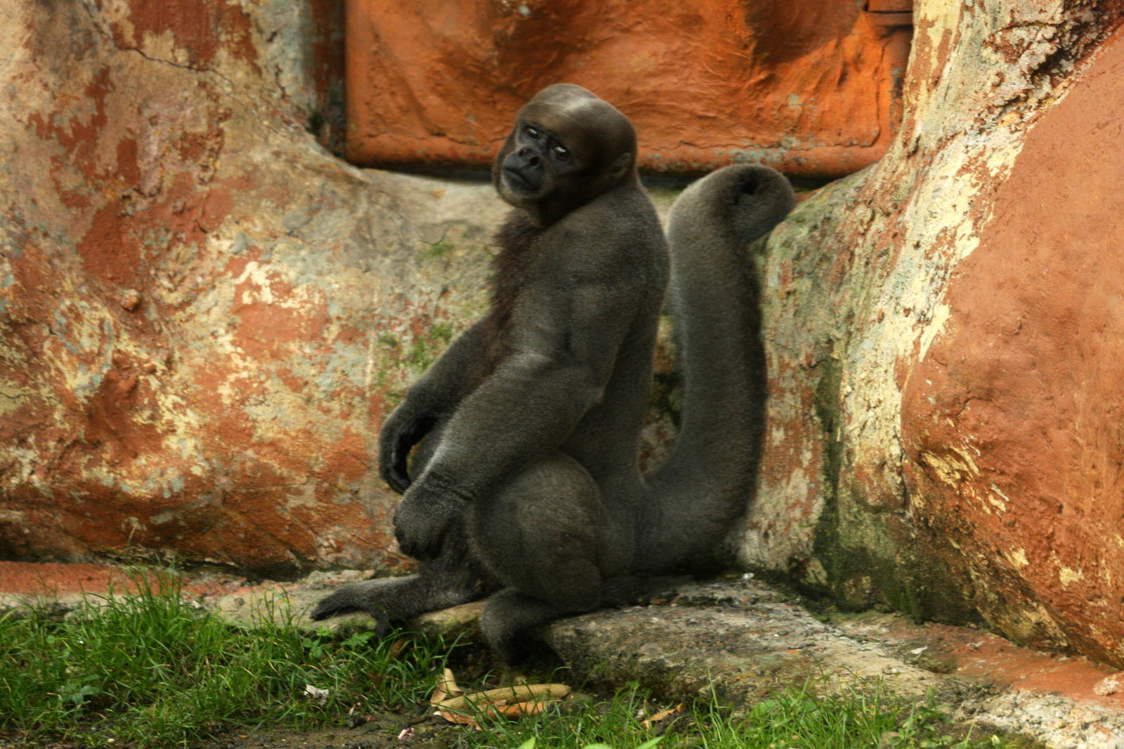 Bioparque Los Ocarros, Villavicencio, Colombia