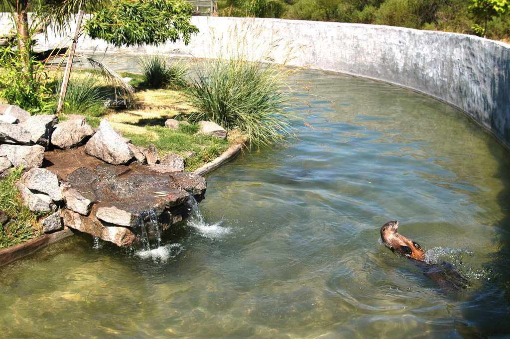 Bioparque M'Bopicuá (Uruguay)