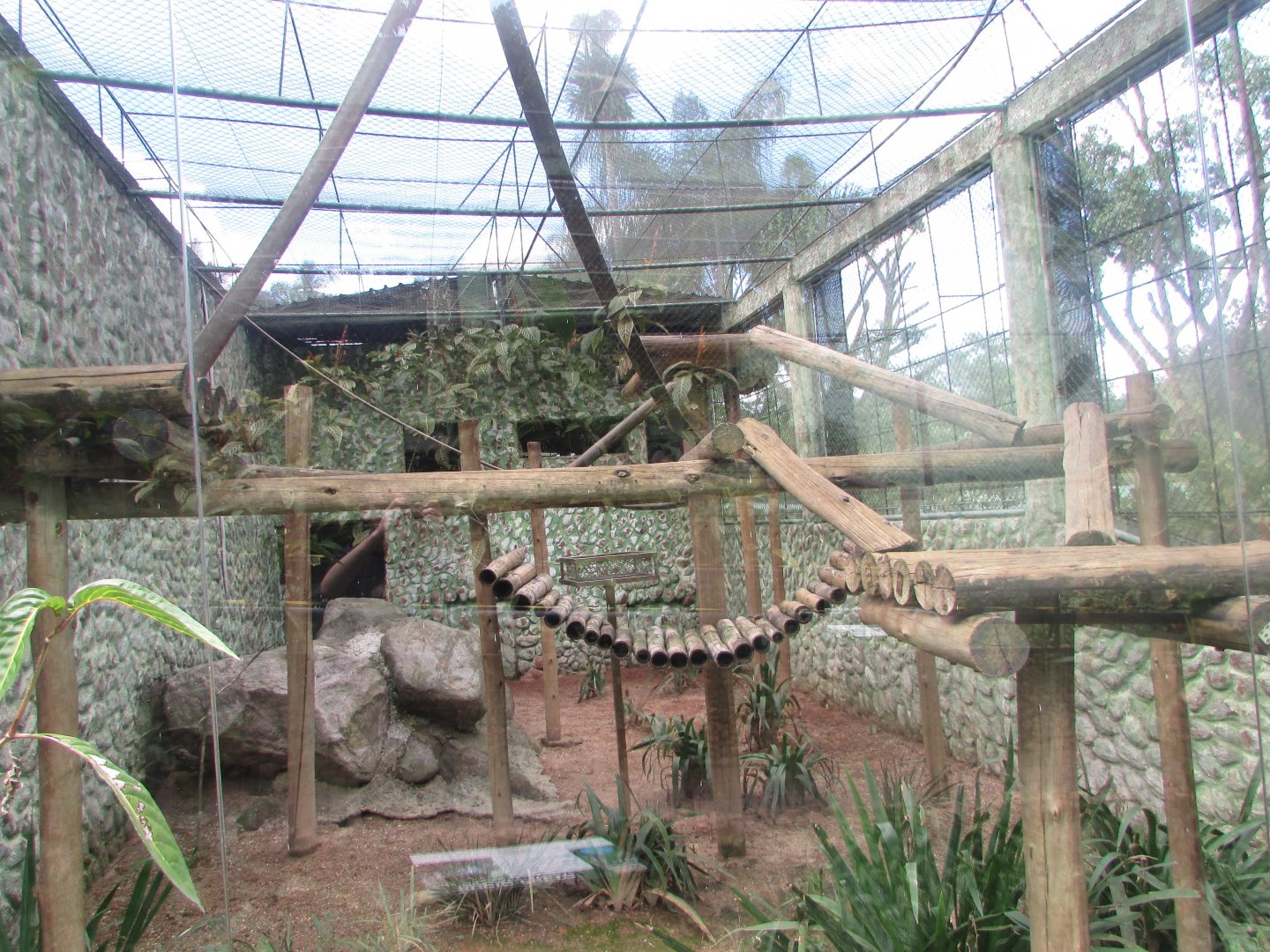 BioParque Zoo Pomerode - Black howler exhibit