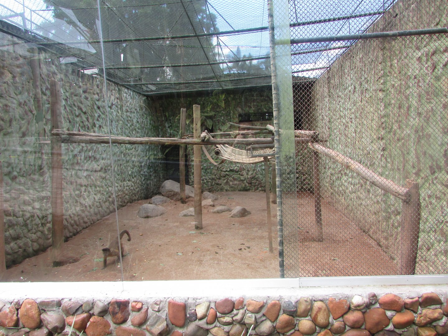 BioParque Zoo Pomerode - Horned capuchin exhibit