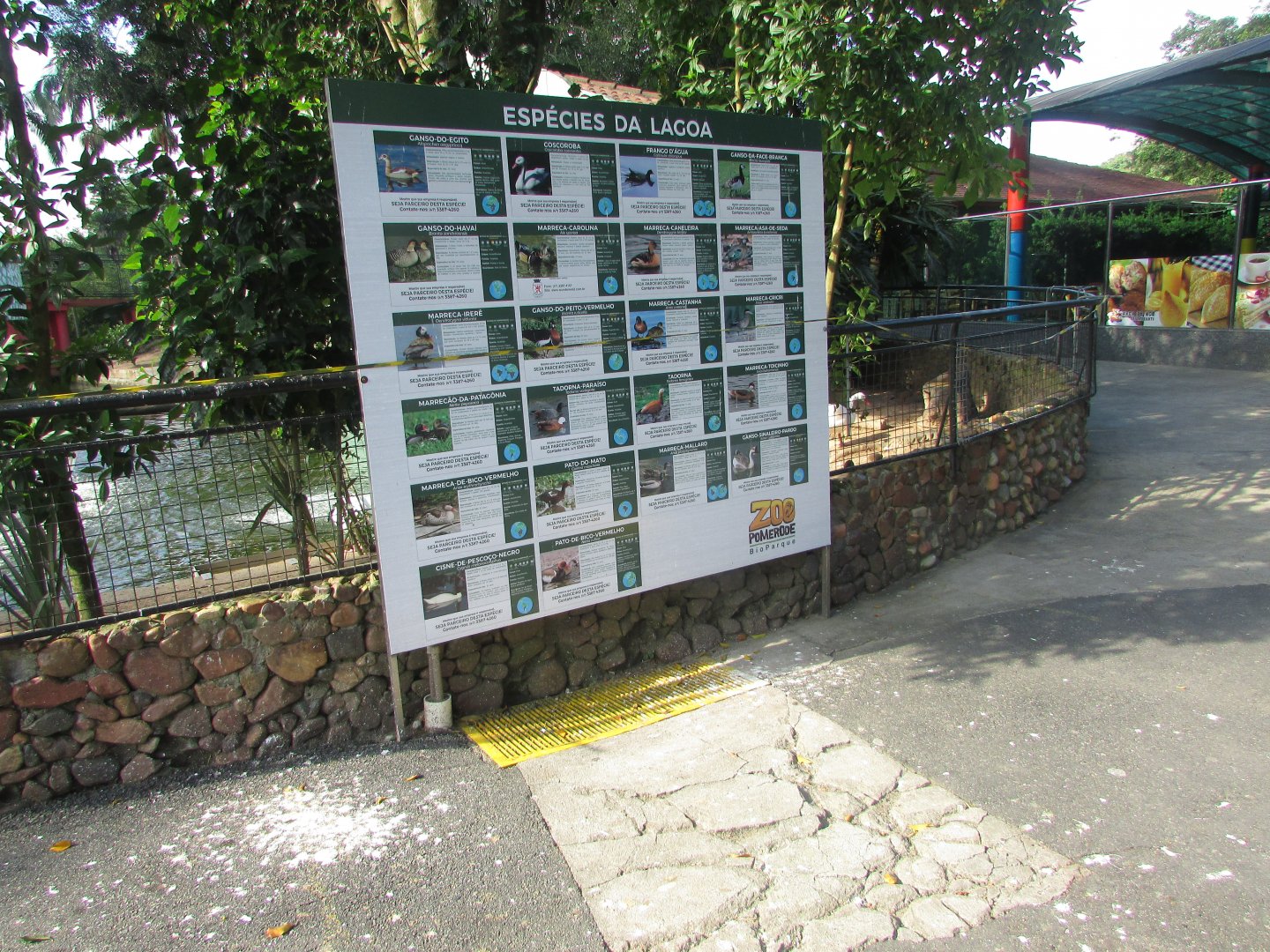 BioParque Zoo Pomerode - Waterfowl lake species list