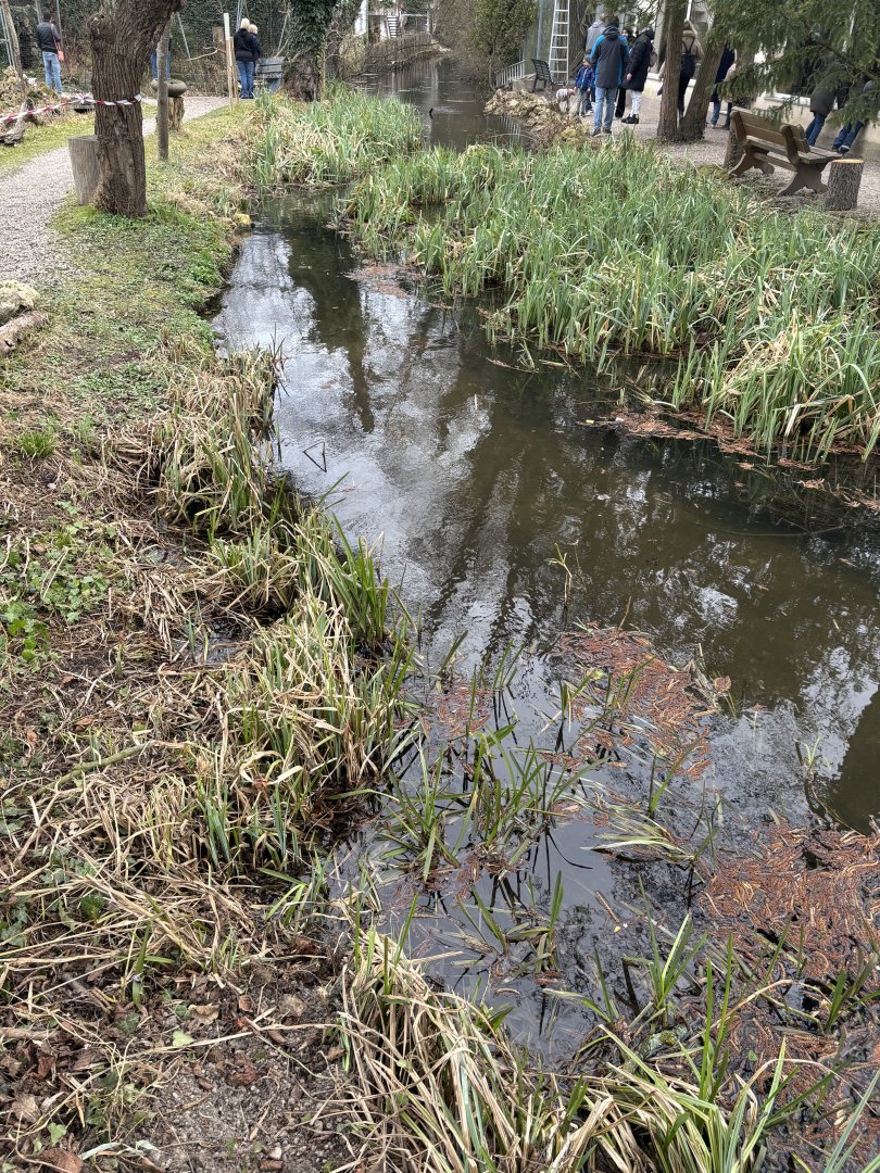 Biotope/Body of Water at Zoo Wassertstern (Ingolstadt)