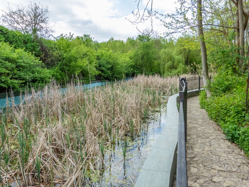 biotope of regional species