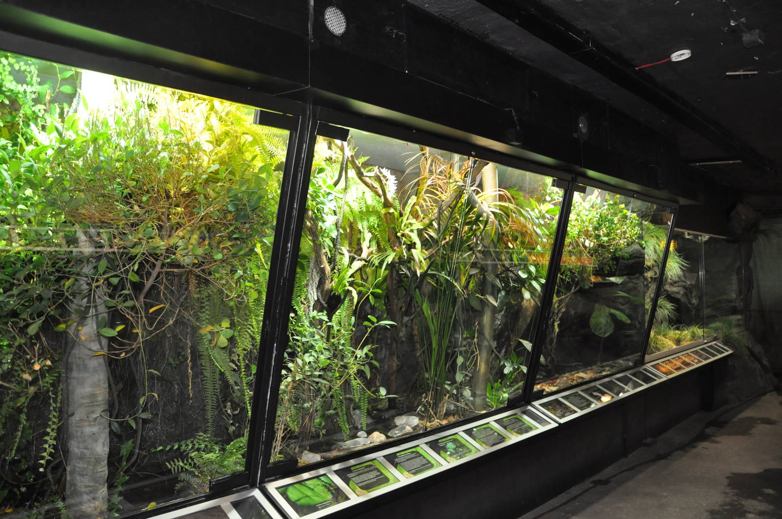 Biotope reptile terrarium