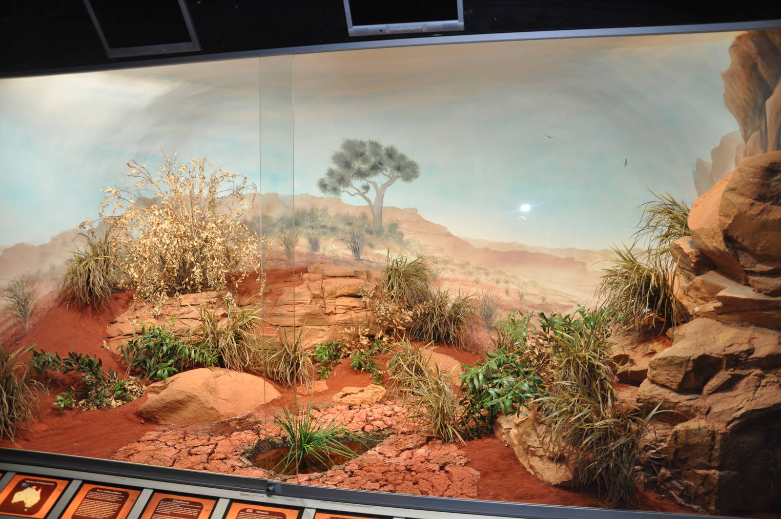 Biotope reptile terrarium