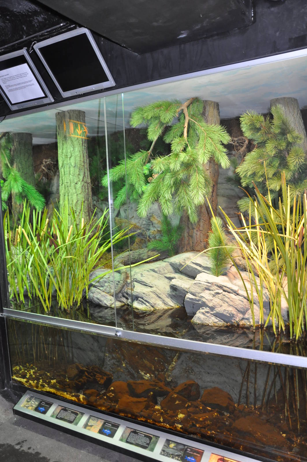 Biotope reptile terrarium