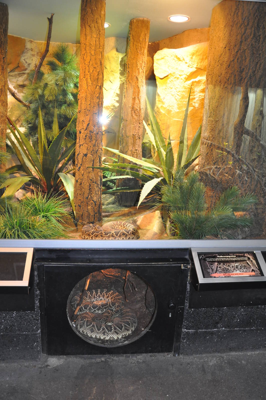 Biotope reptile terrarium