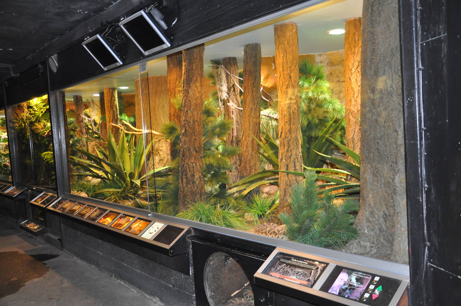 Biotope reptile terrarium