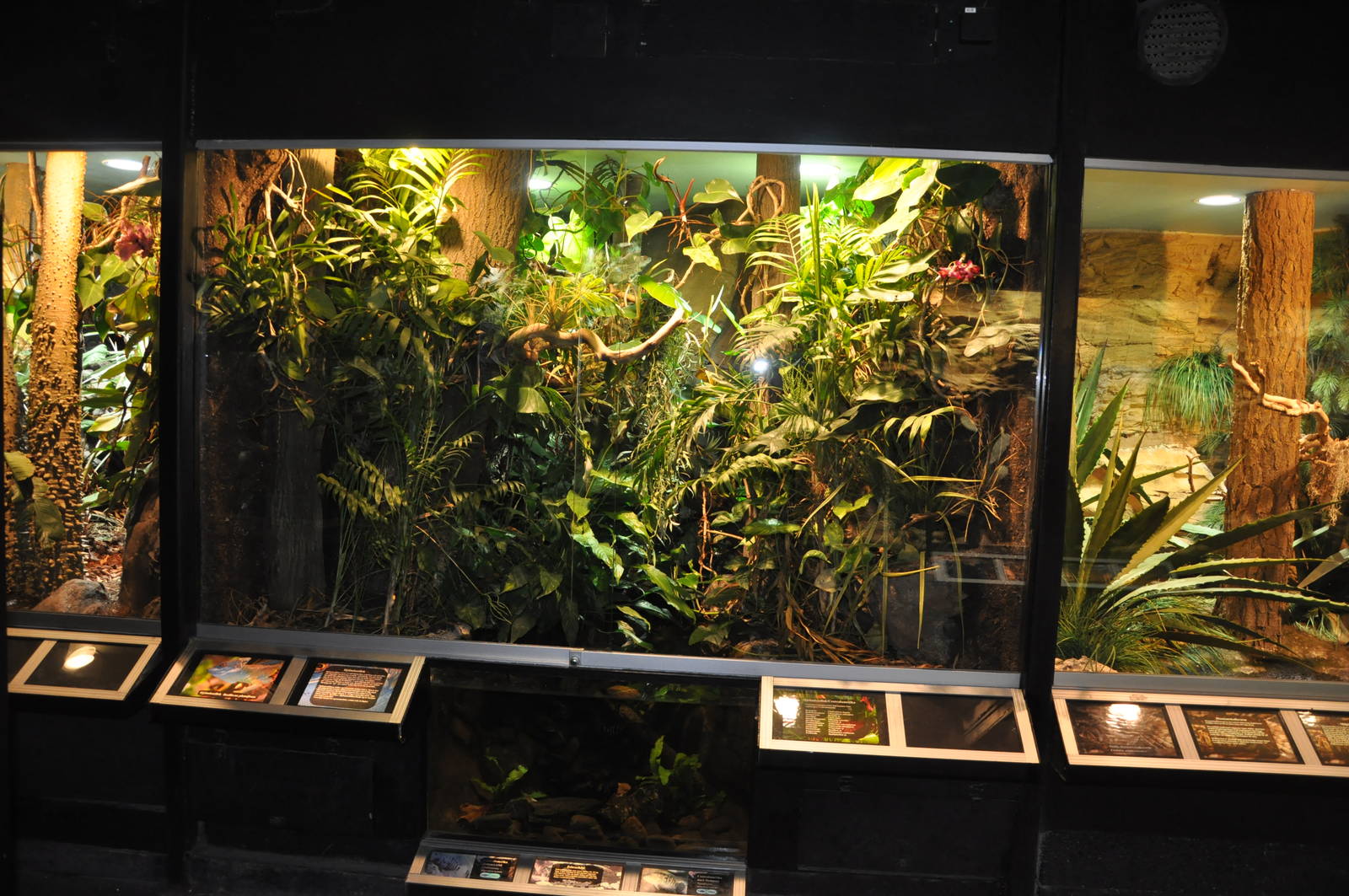 Biotope reptile terrarium