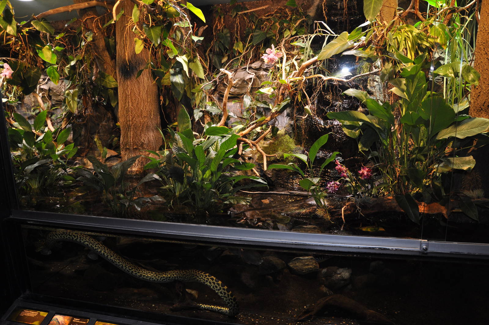 Biotope reptile terrarium