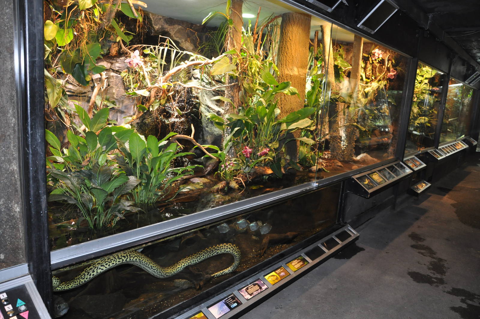 Biotope reptile terrarium