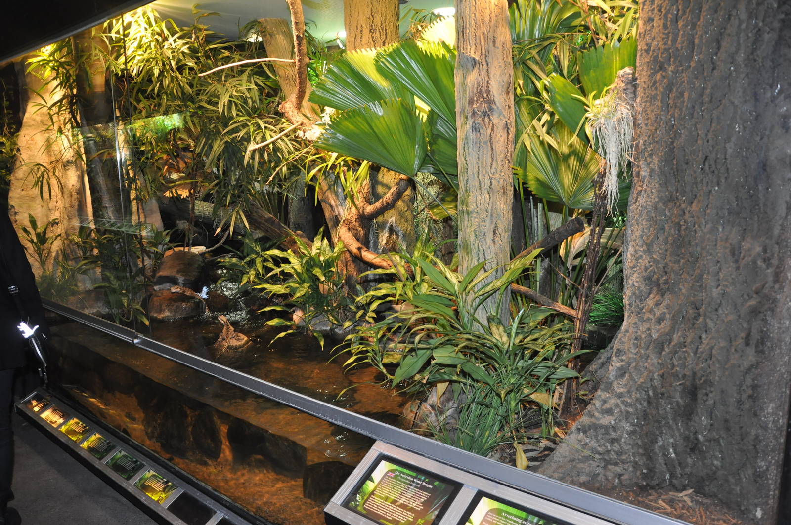 Biotope reptile terrarium