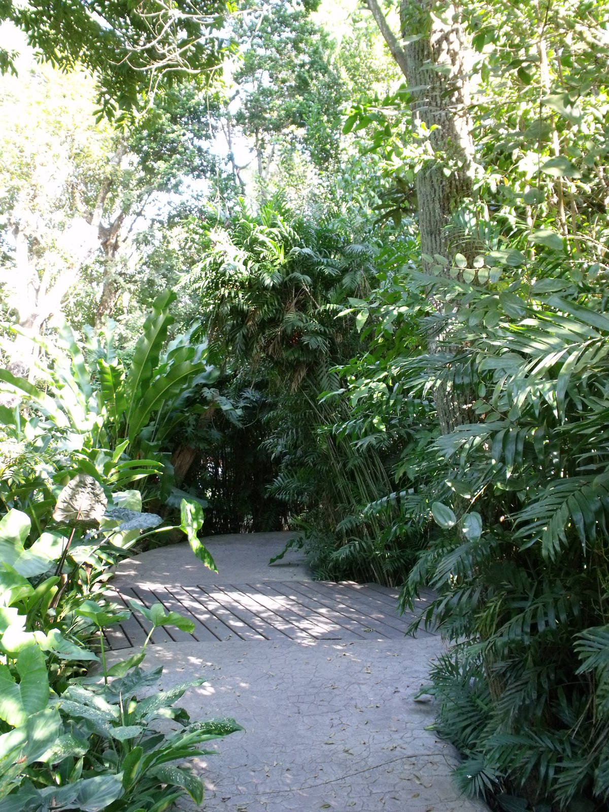 Biouniverzoo Chetumal