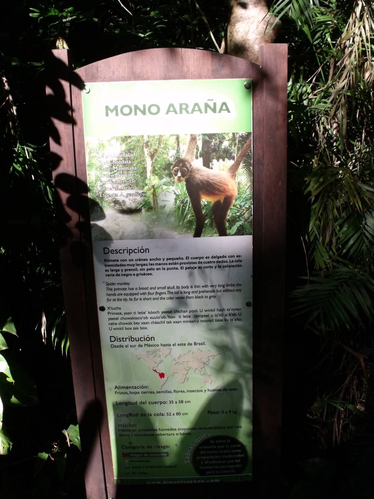 Biouniverzoo Chetumal