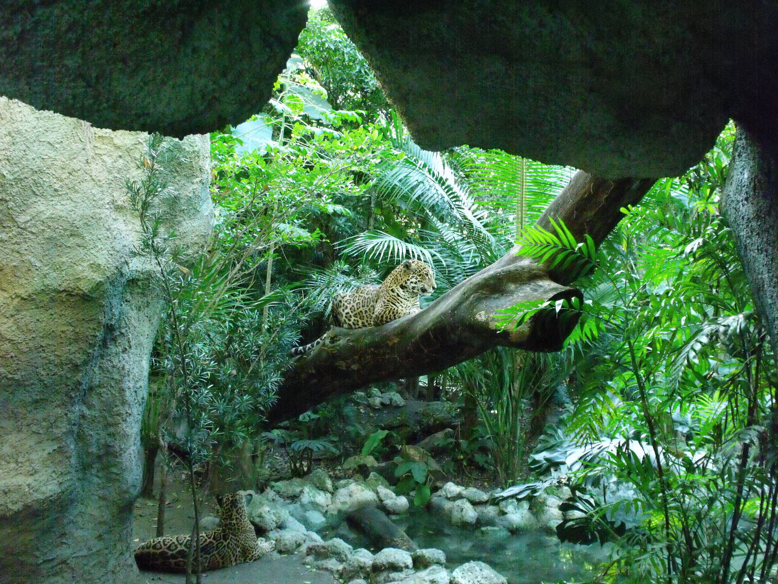 Biouniverzoo Chetumal