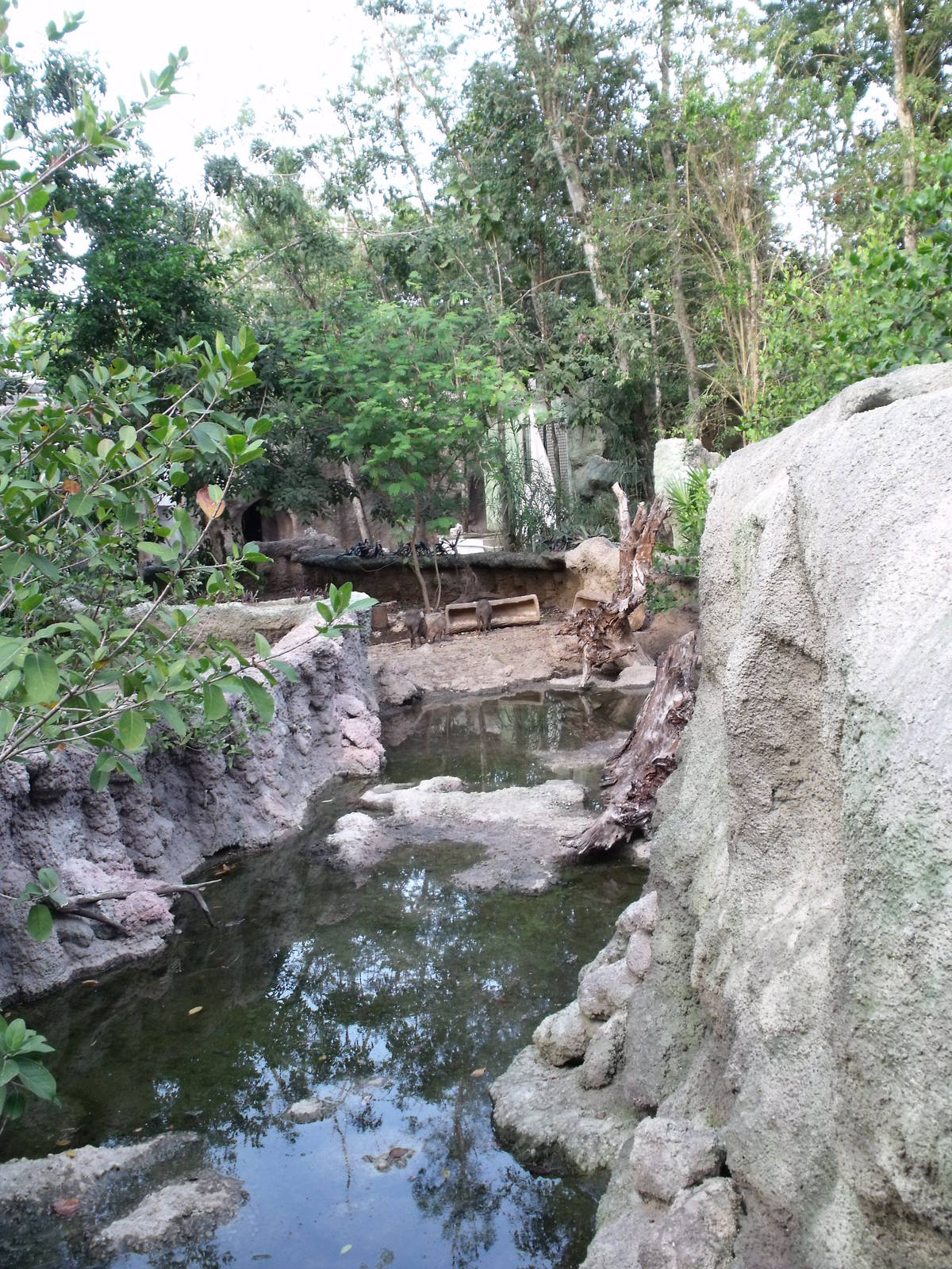 Biouniverzoo Chetumal