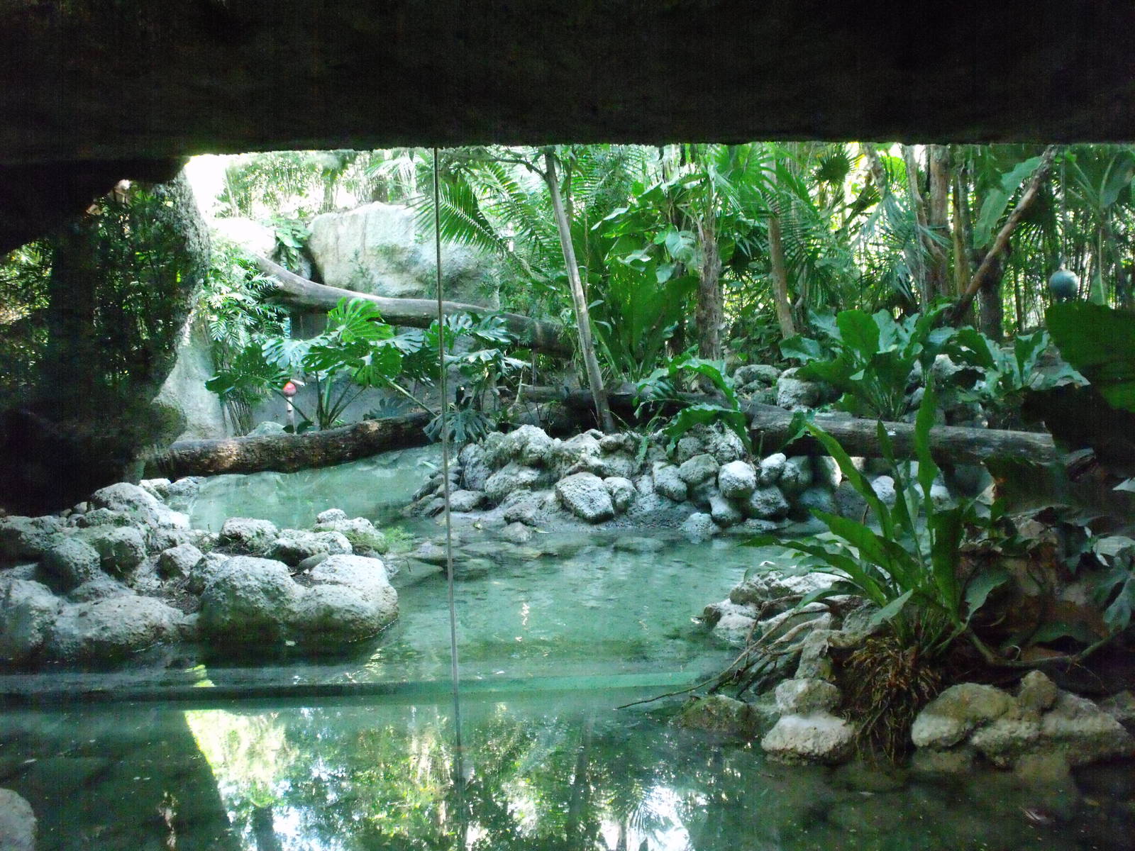 Biouniverzoo Chetumal