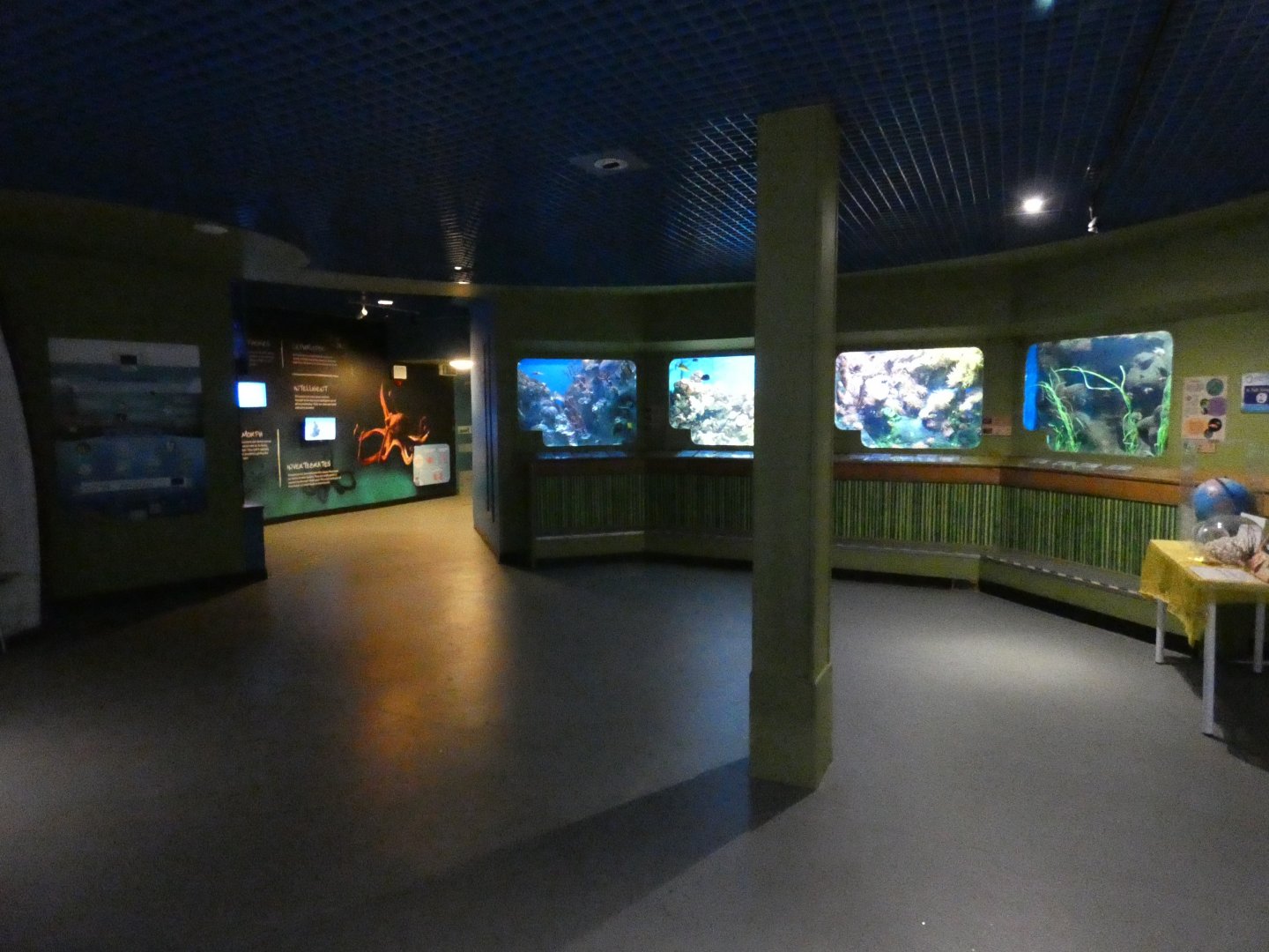 Biozones exhibit