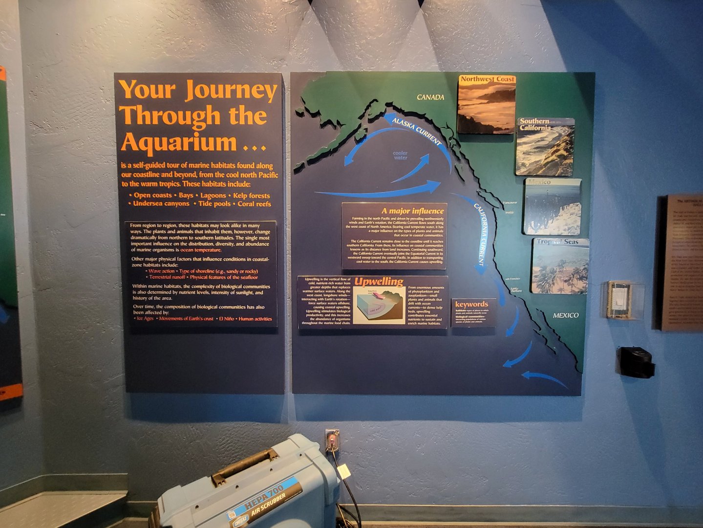 Birch Aquarium - Your Journey Through the Aquarium