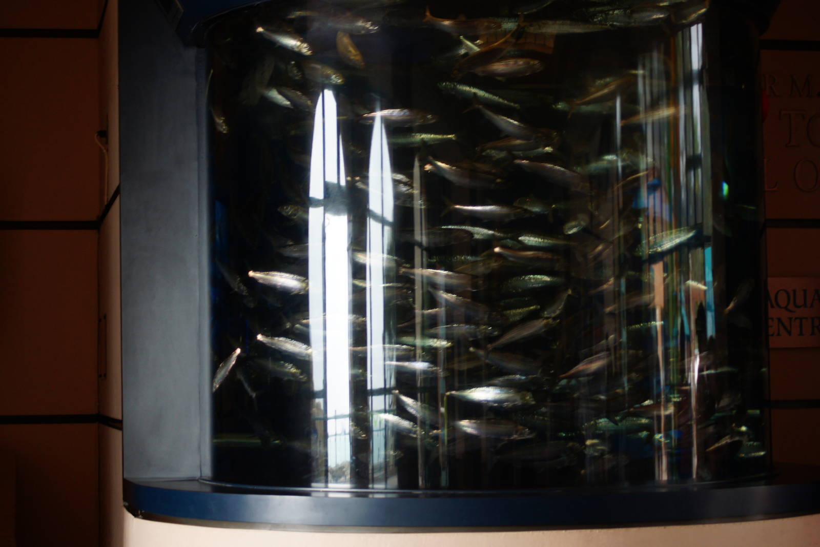 Birch Aquarium