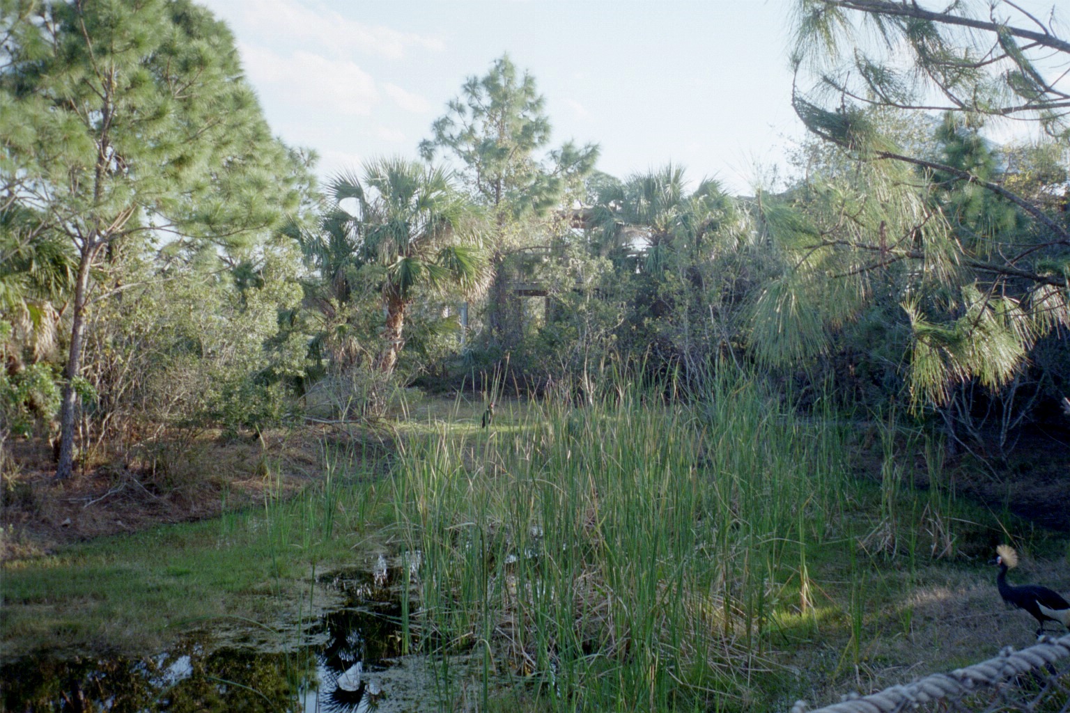 Bird and Small Hoofstock Yard - Expedition Africa