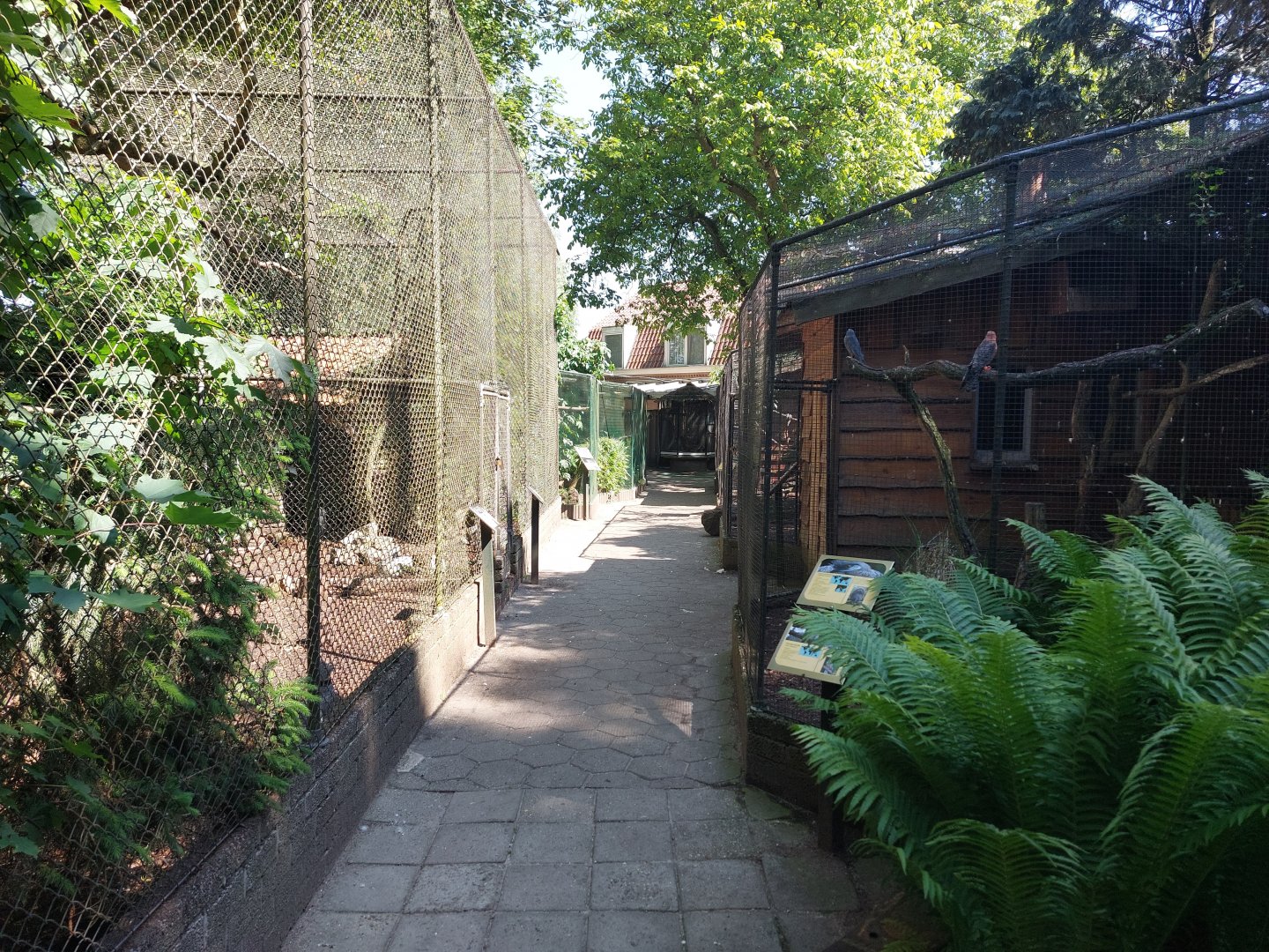 Bird and small monkey area