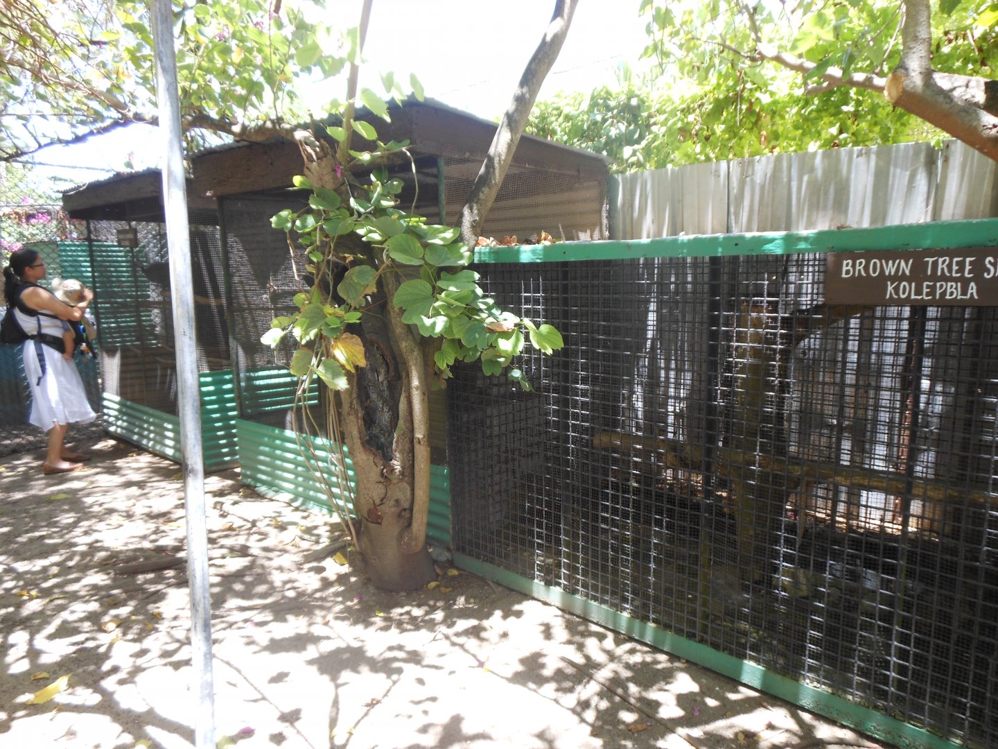 Bird and snake enclosures