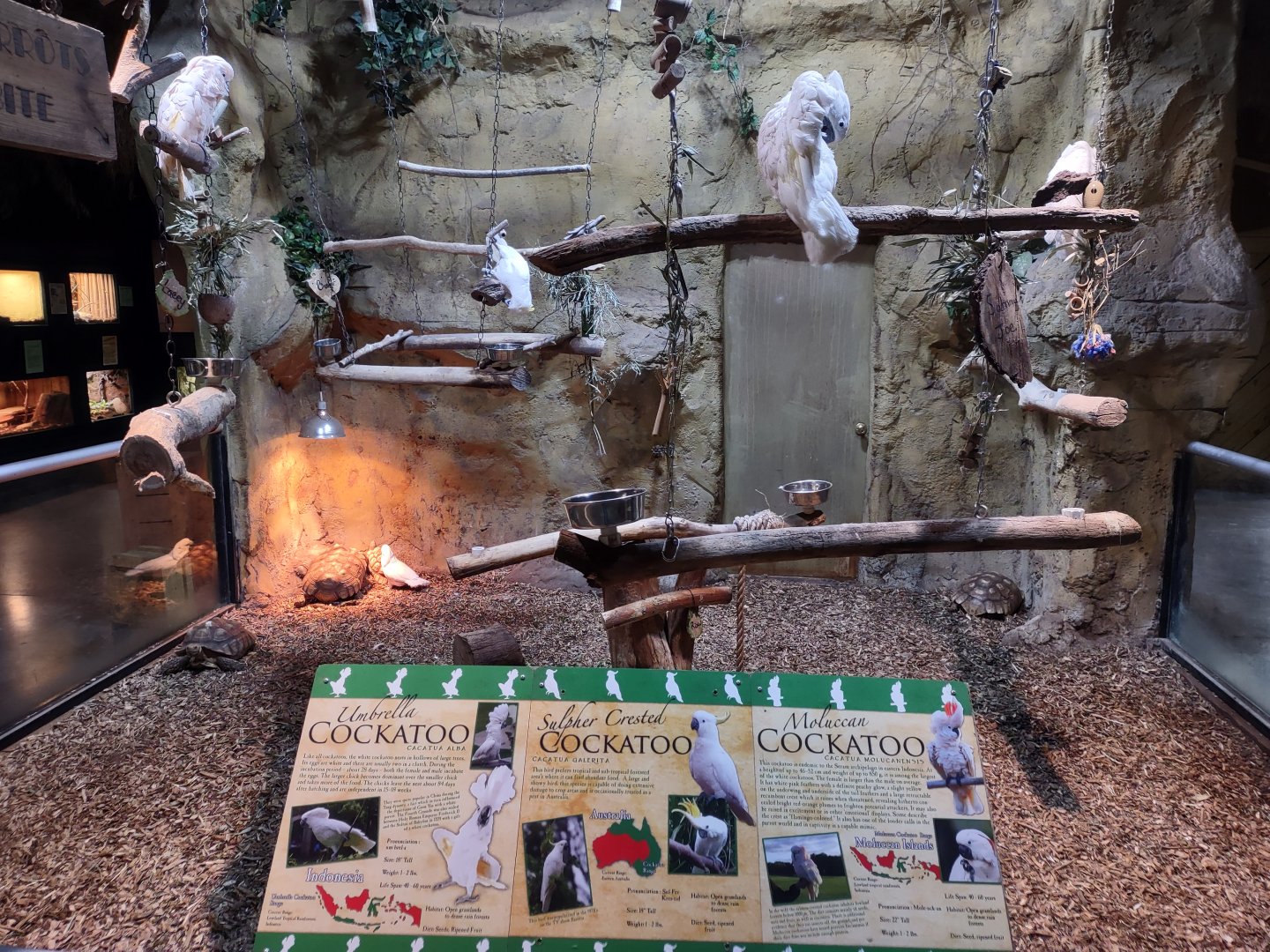 Bird and tortoise exhibit