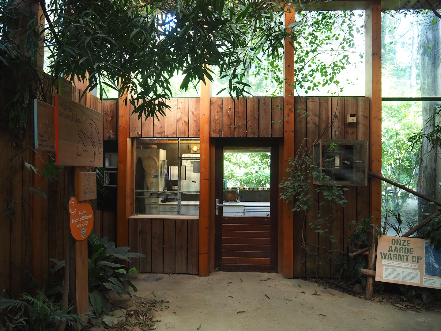 Bird area in Aldabra giant tortoise, 2023-09-24