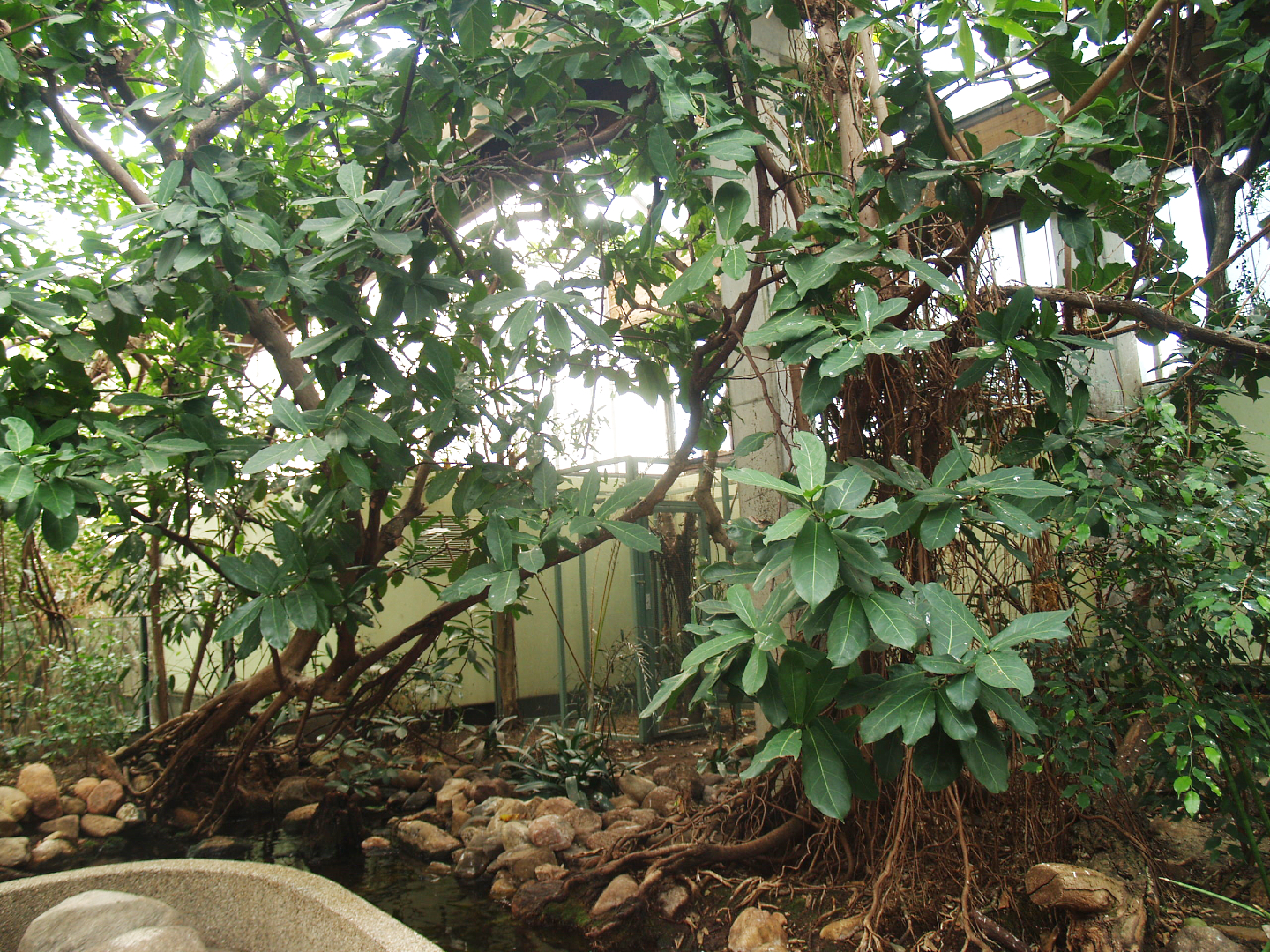Bird area in the Africa House, 2009-04-19