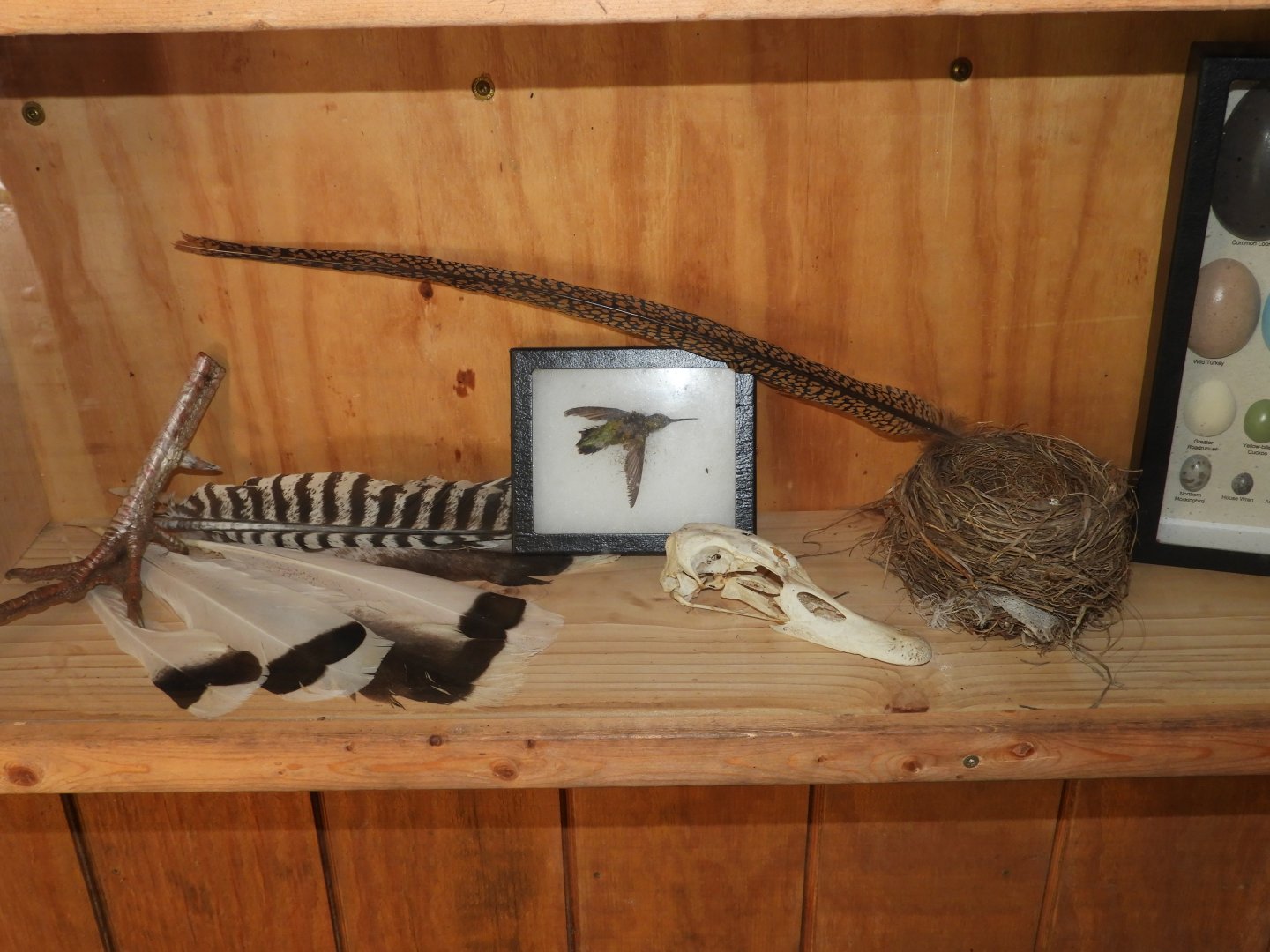 Bird artifacts