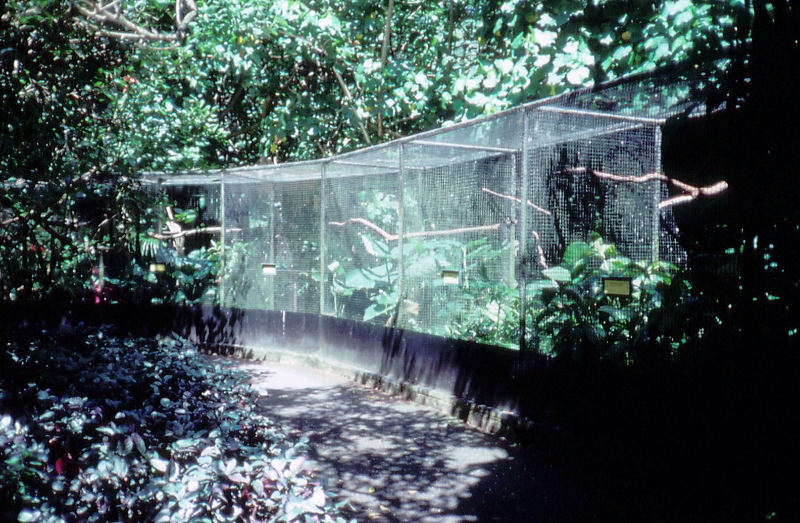 Bird Aviaries - 1987