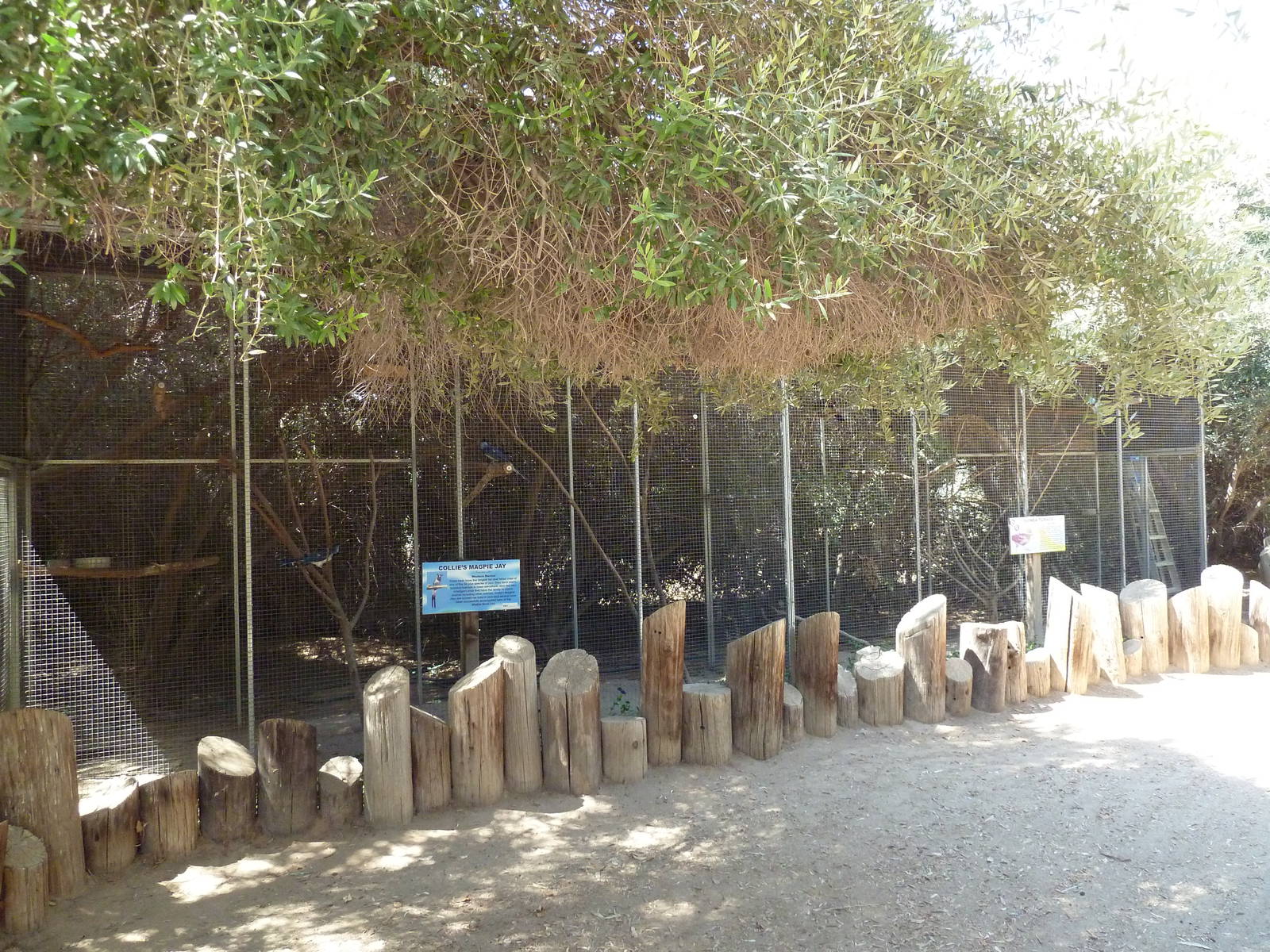 Bird Aviaries (2 Species)