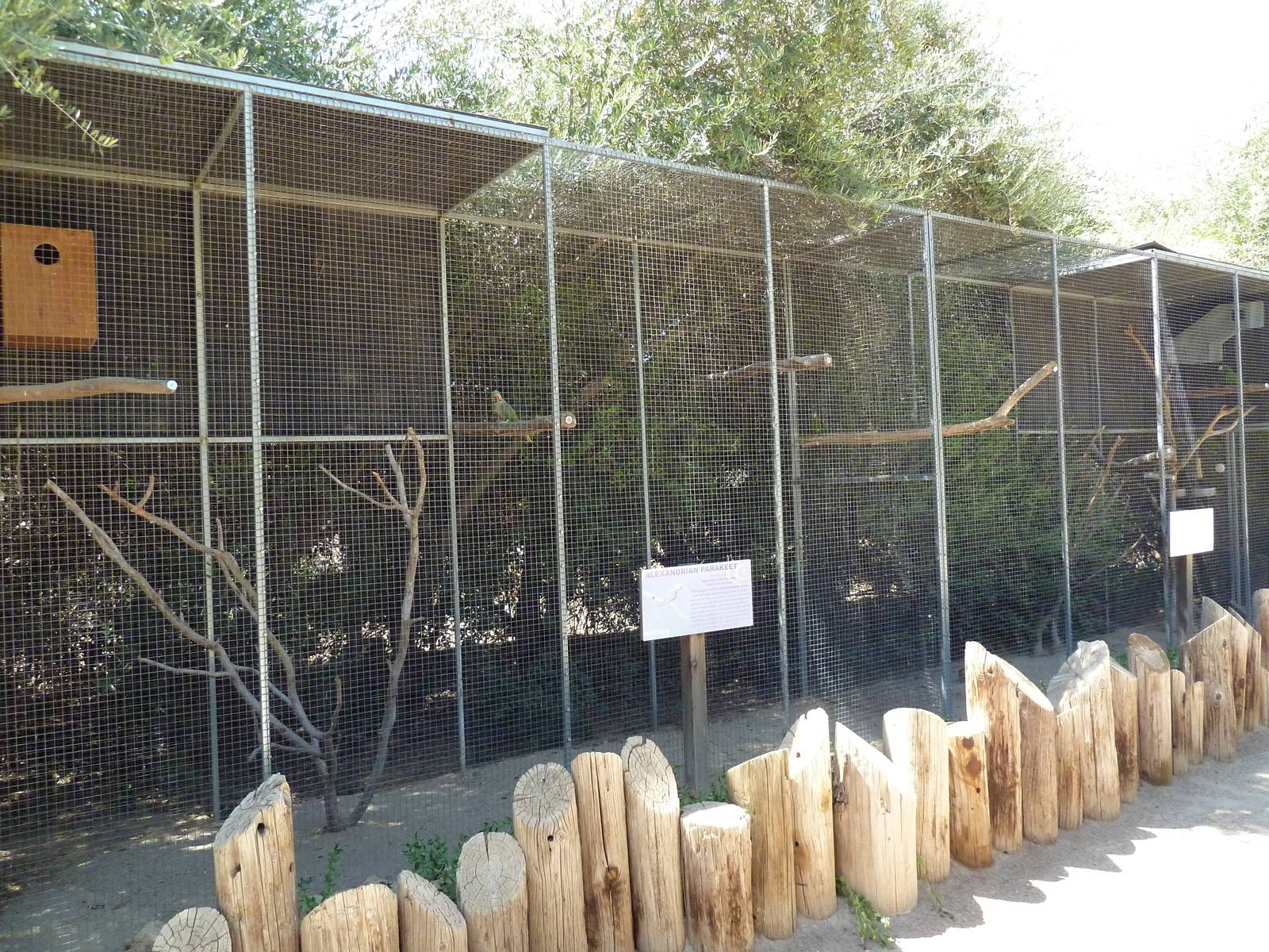Bird Aviaries (2 Species)