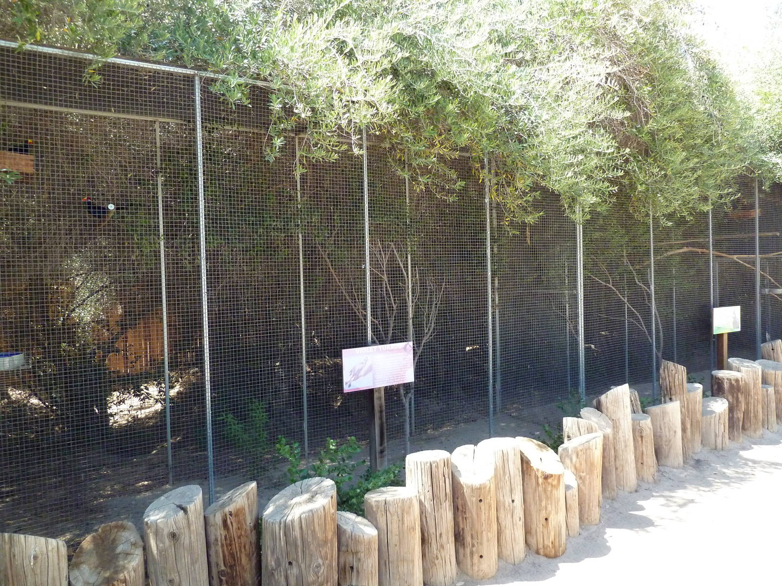 Bird Aviaries (2 Species)