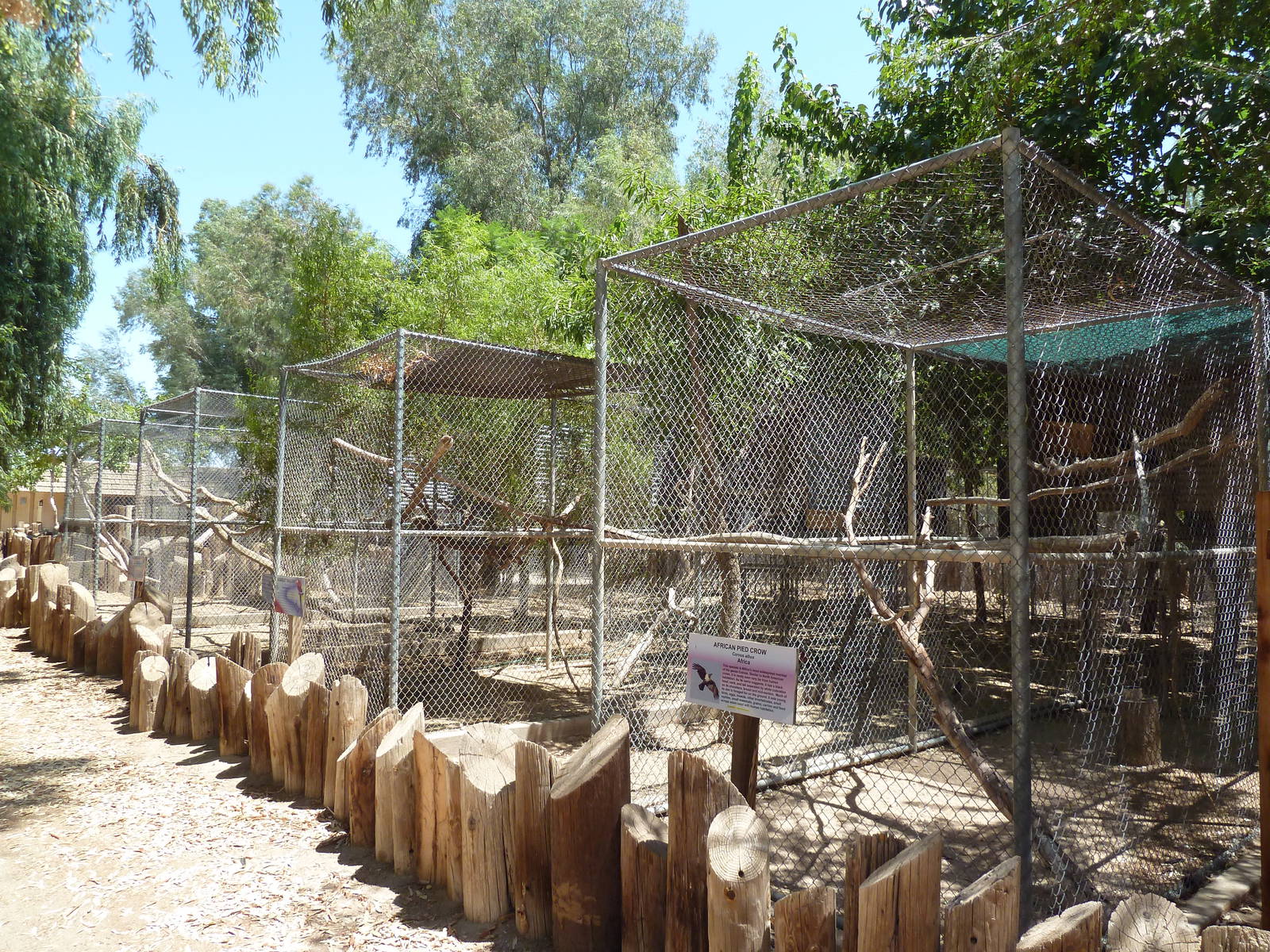 Bird Aviaries (4 Species)