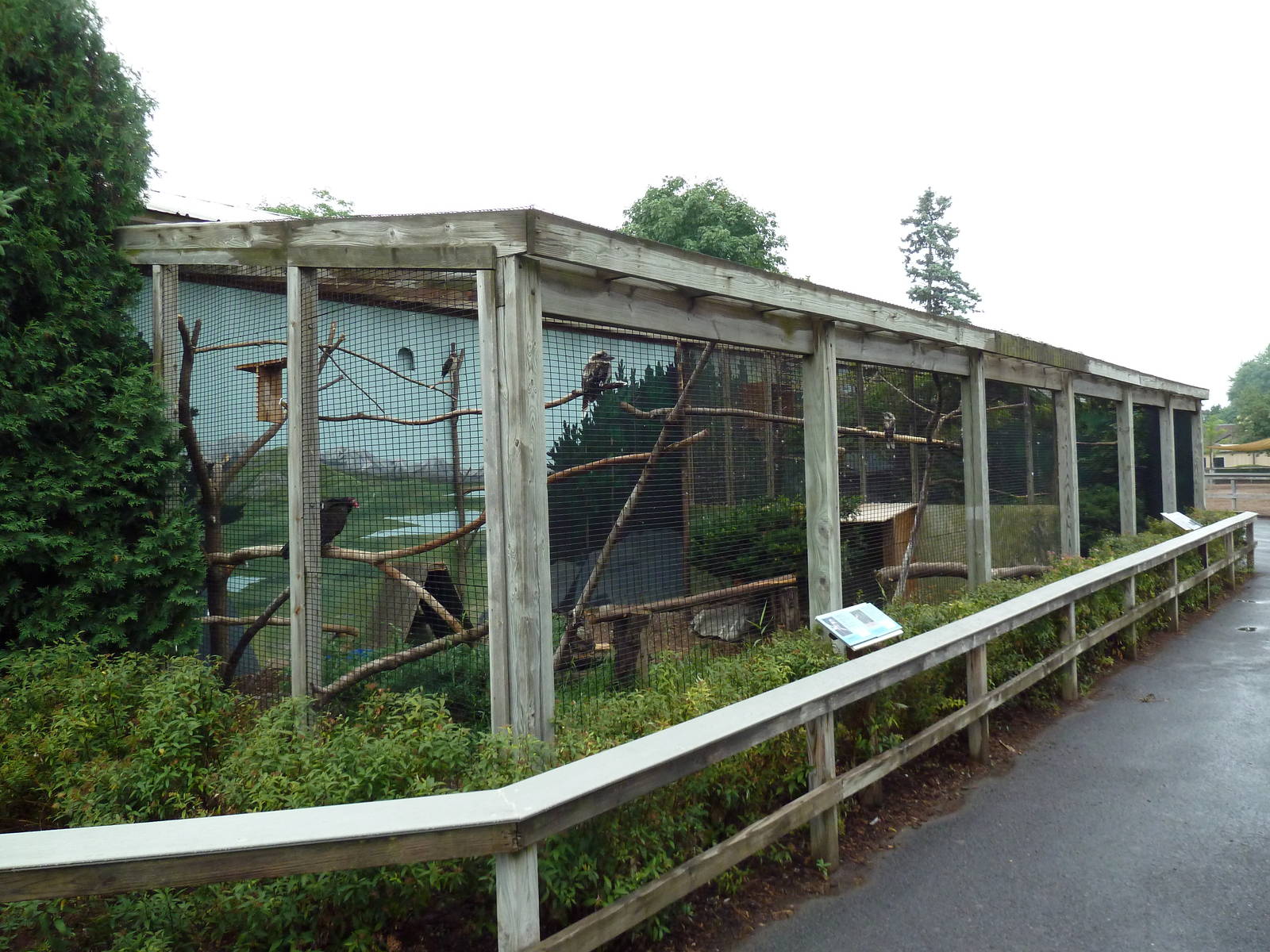 Bird Aviaries (4 Species)