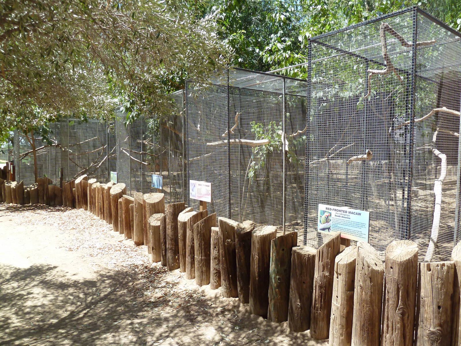 Bird Aviaries (5 Species)
