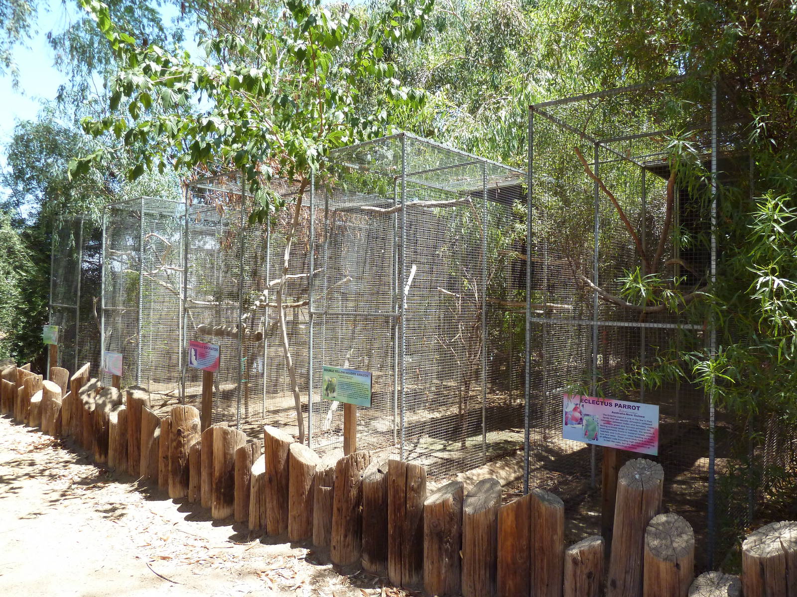 Bird Aviaries (5 Species)